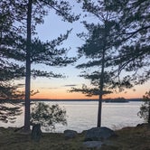 Review photo of Wellesley Island State Park Campground by Murphy W., July 12, 2022