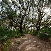 Review photo of Stafford Beach Campground — Cumberland Island National Seashore by phillip L., July 27, 2016