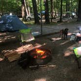 Review photo of Cataloochee Campground — Great Smoky Mountains National Park by molly N., July 12, 2022