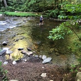 Review photo of Cataloochee Campground — Great Smoky Mountains National Park by molly N., July 12, 2022