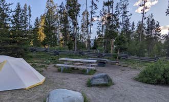 Camping near Smiley Creek Lodge: Pettit Lake Campground, Stanley, Idaho