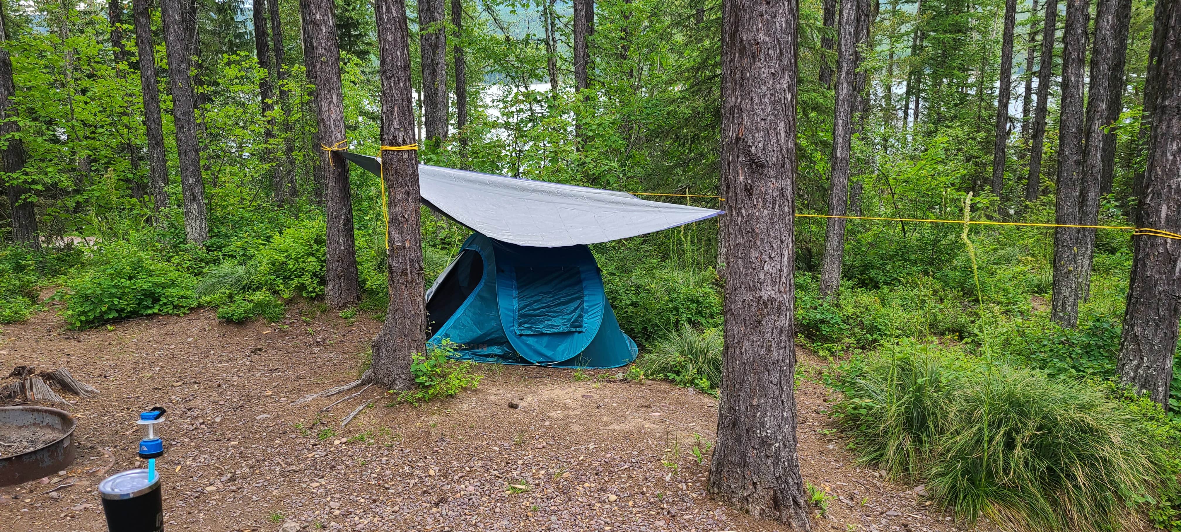 Tarrah C.'s photo at Lid Creek Campground near Essex, MT