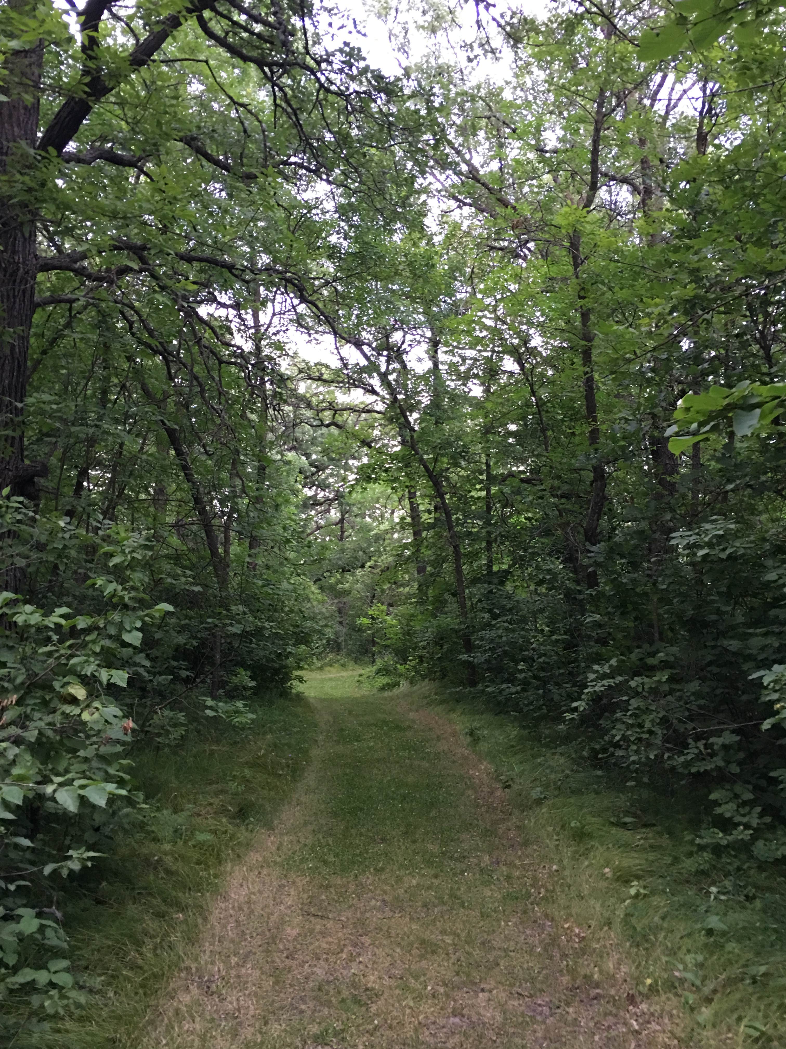 Camper submitted image from Old Mill State Park Campground - 2