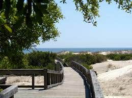 Camper submitted image from Stafford Beach Campground — Cumberland Island National Seashore - 4
