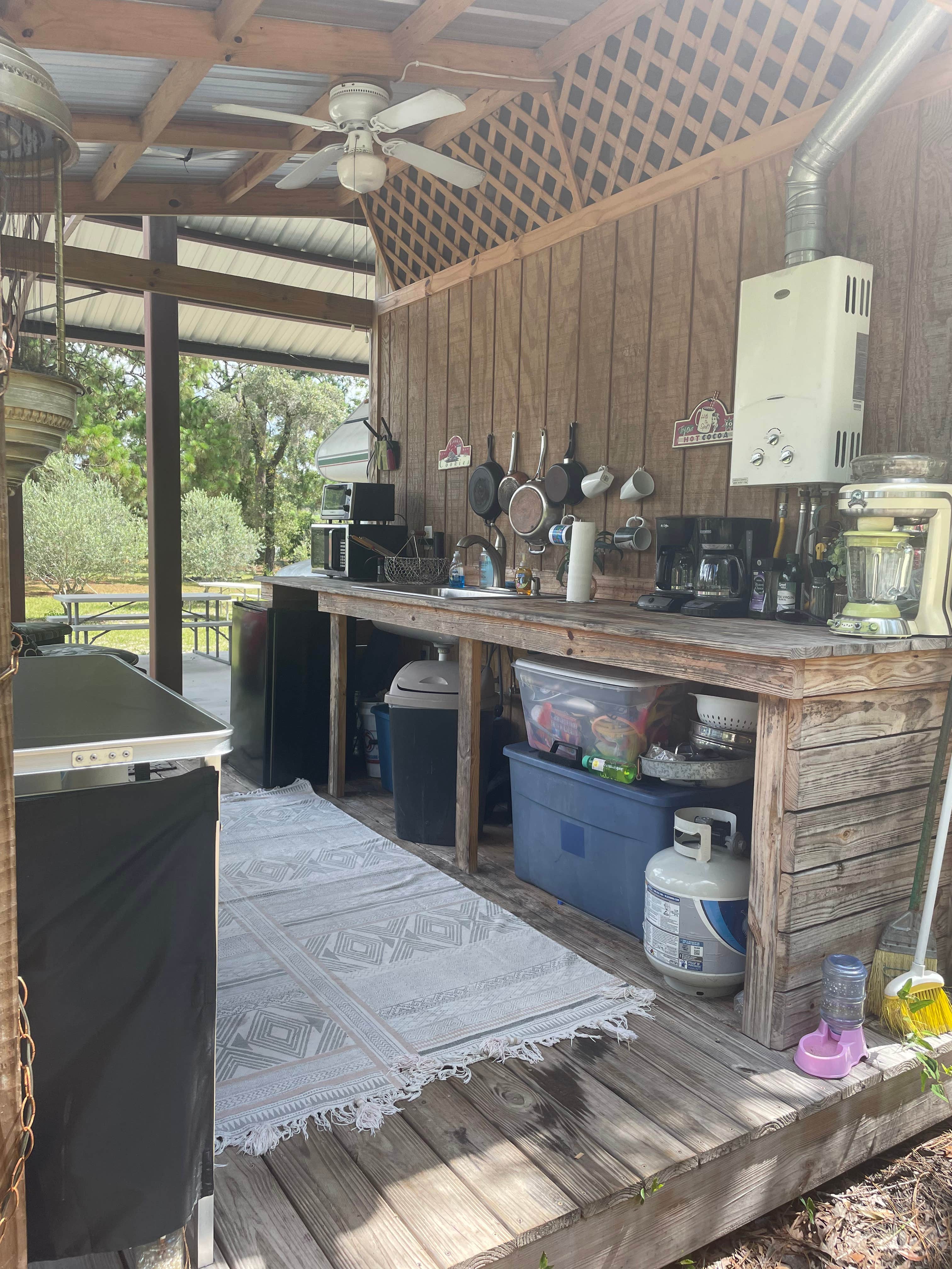 Camper-submitted photo at The Olive Grove near Brooksville, FL