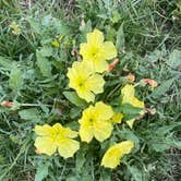 Review photo of Rocky Creek Park (benbrook Lake) by Alexis P., July 12, 2022