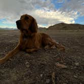 Review photo of BLM by Salt Flats - Dispersed Site by Kristina W., July 12, 2022