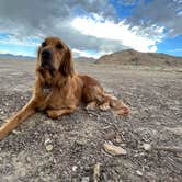 Review photo of BLM by Salt Flats - Dispersed Site by Kristina W., July 12, 2022