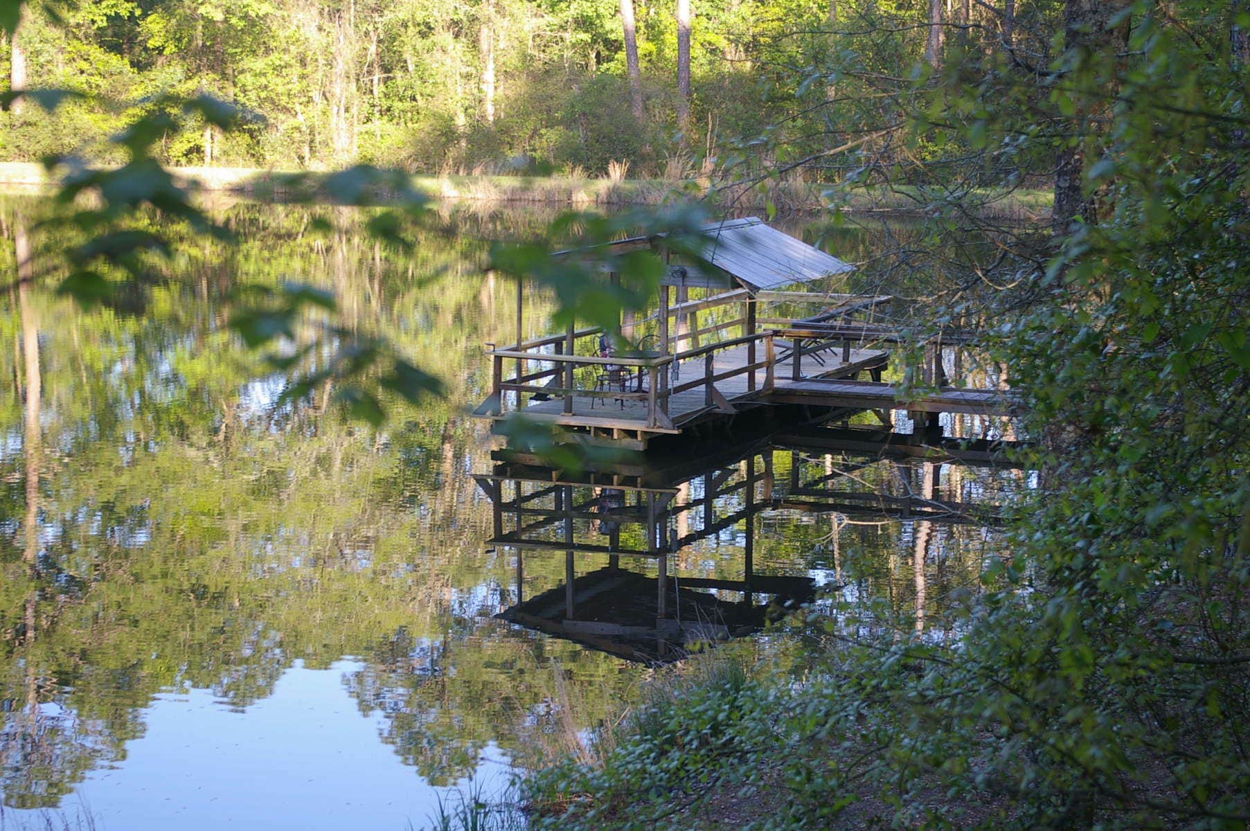 Camper-submitted photo at Bliss Hills Farm near Twin City, GA