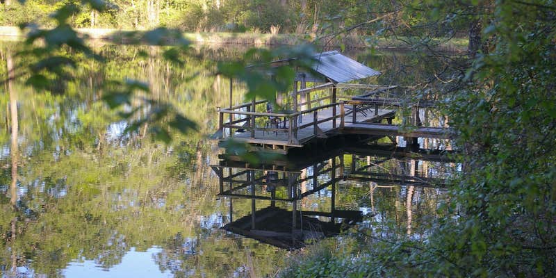 Camper submitted image from Bliss Hills Farm