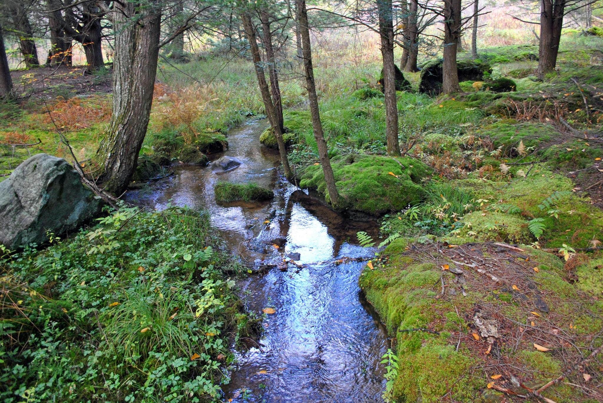 Camper-submitted photo at Lyman Run State Park Campground near Cammal, PA