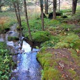 Review photo of Lyman Run State Park Campground by Anne P., July 19, 2018