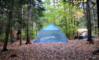 Anne P.'s photo at Lyman Run State Park Campground near Westfield, PA