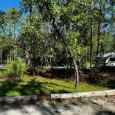 Review photo of Silver Springs State Park Campground by Angela R., July 12, 2022