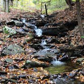 Review photo of Lyman Run State Park Campground by Anne P., July 19, 2018