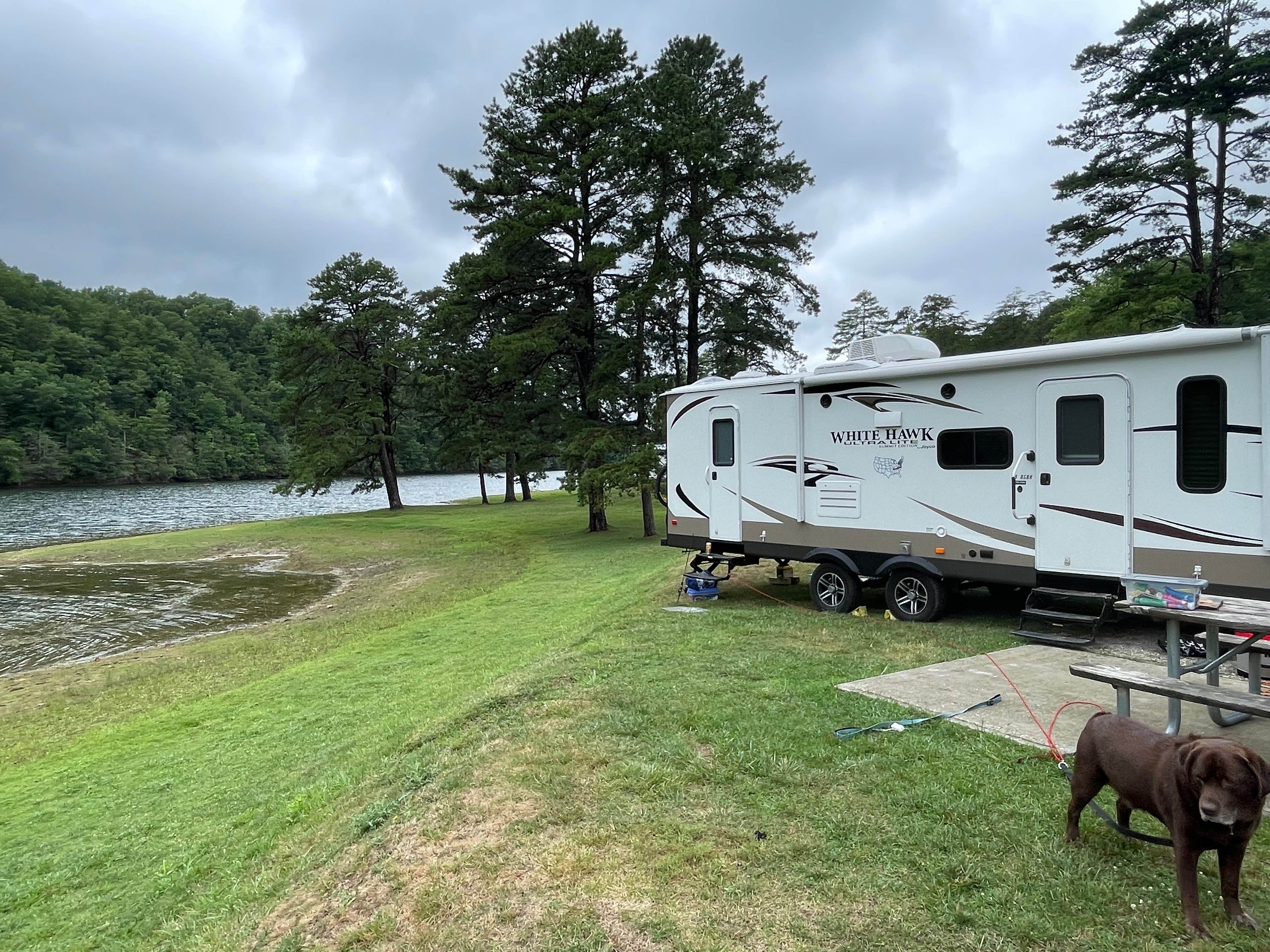 Burkley W.'s photo of camping with pets at Gatewood Park near Pembroke, VA