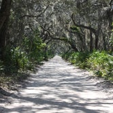 Review photo of Stafford Beach Campground — Cumberland Island National Seashore by phillip L., July 27, 2016