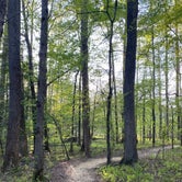 Review photo of Cedarville State Forest by Mary N., May 1, 2022