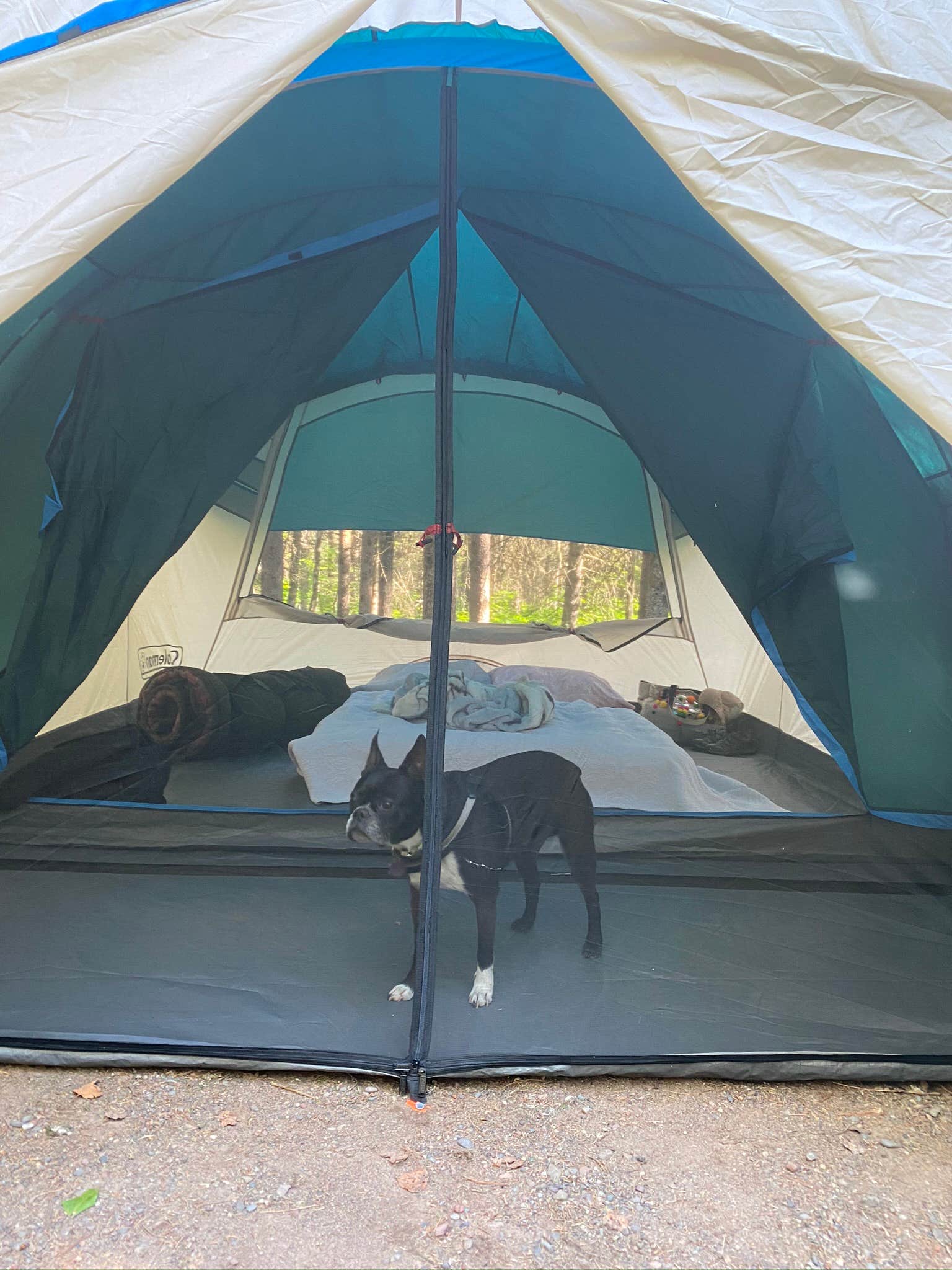 Des's photo of camping with pets at Jay Cooke State Park Campground in Minnesota