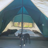 Review photo of Jay Cooke State Park Campground by Des , July 12, 2022