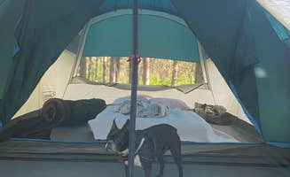 Des's photo at Jay Cooke State Park Campground near Cloquet, MN