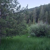 Review photo of Big Springs Campground by Michelle E., July 12, 2022