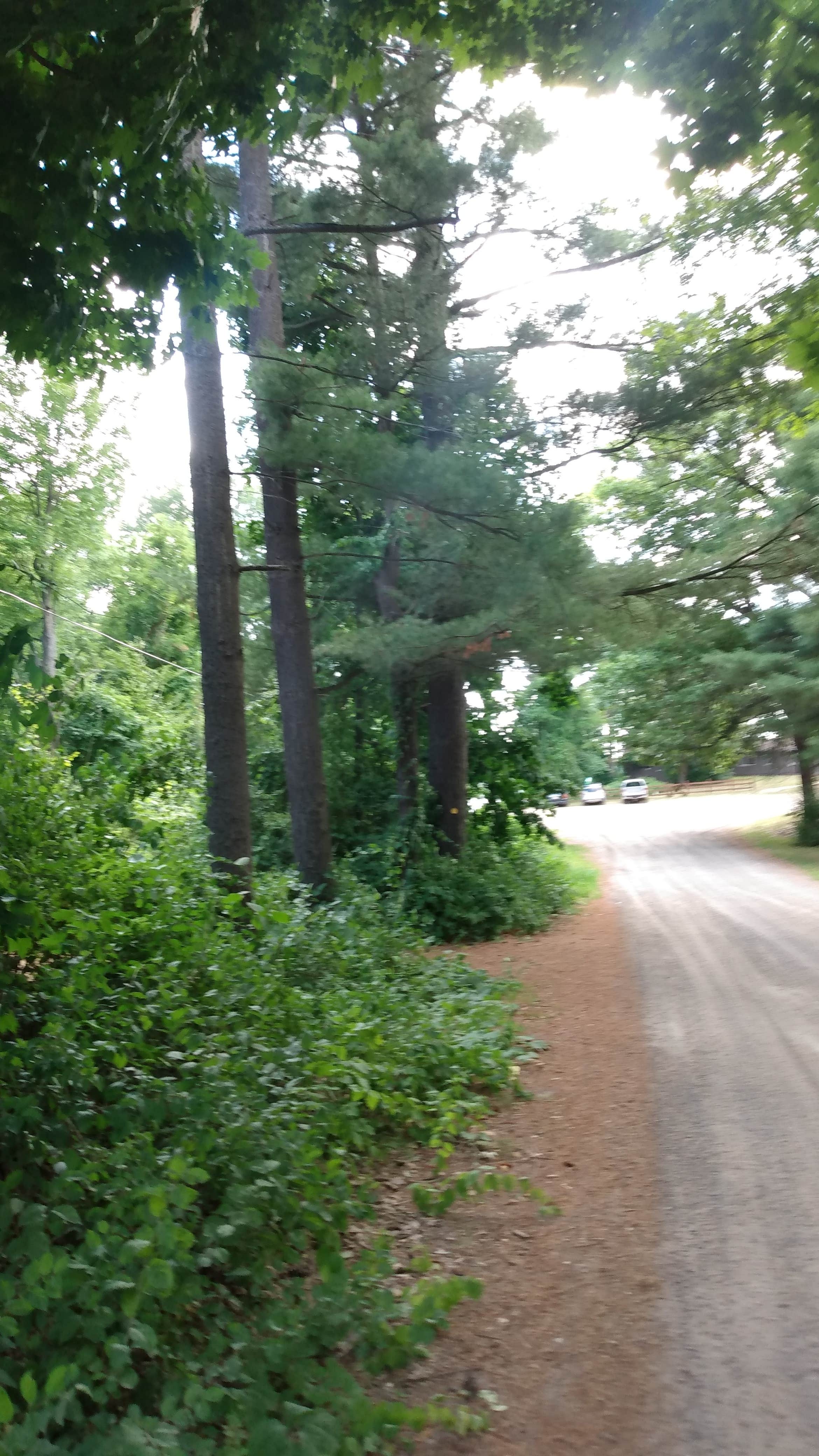 Camper-submitted photo at Camp Agawam near New Hudson, MI