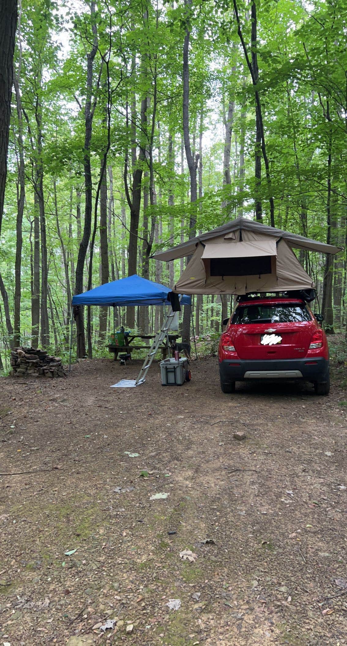 Camper-submitted photo at Scarlett Knob Campground near Normalville, PA