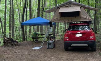 Elena J.'s photo at Scarlett Knob Campground near Farmington, PA