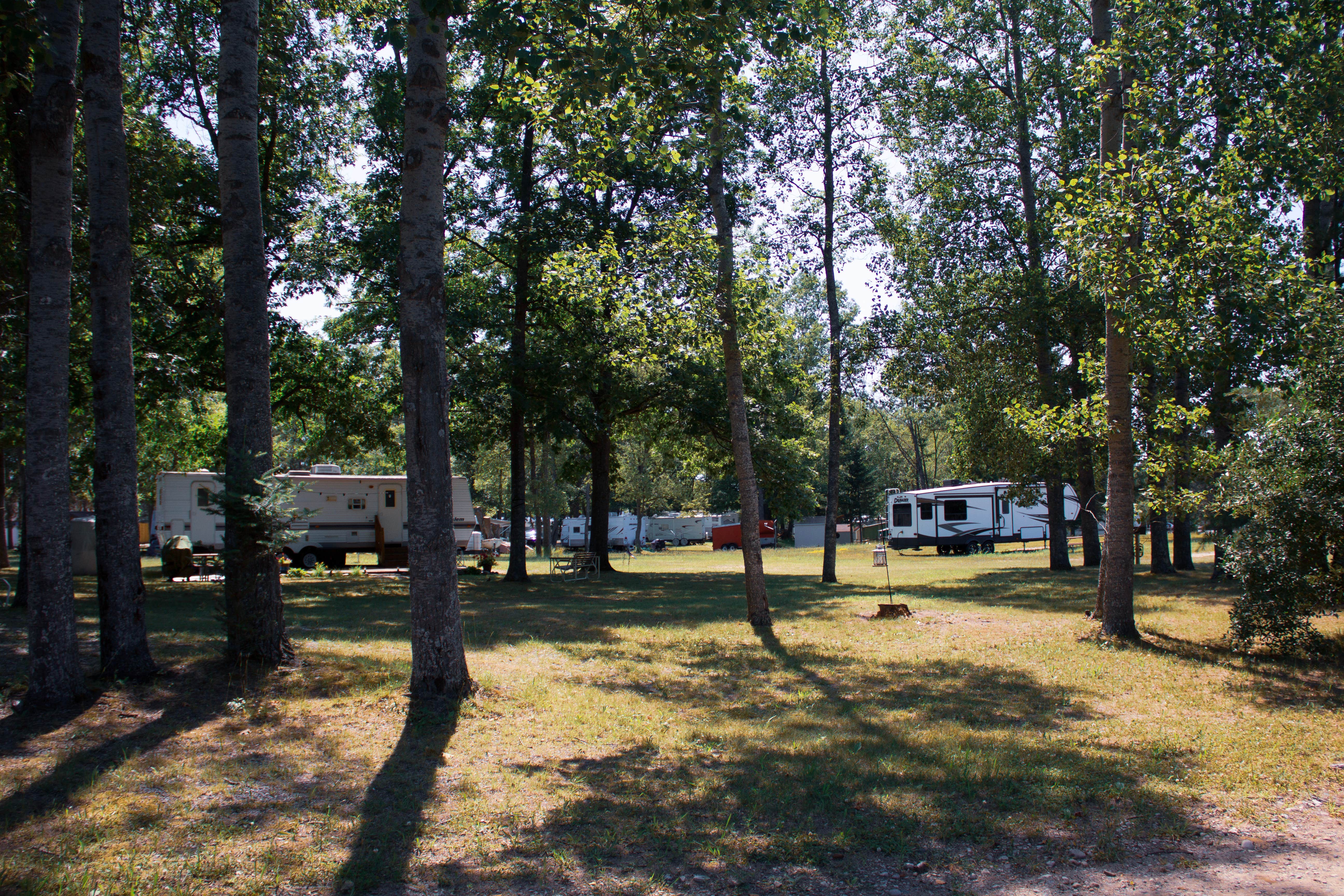 Suzanne L.'s photo at Parkview Acres near Lupton, MI