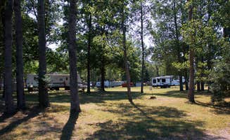 Suzanne L.'s photo at Parkview Acres near Lupton, MI