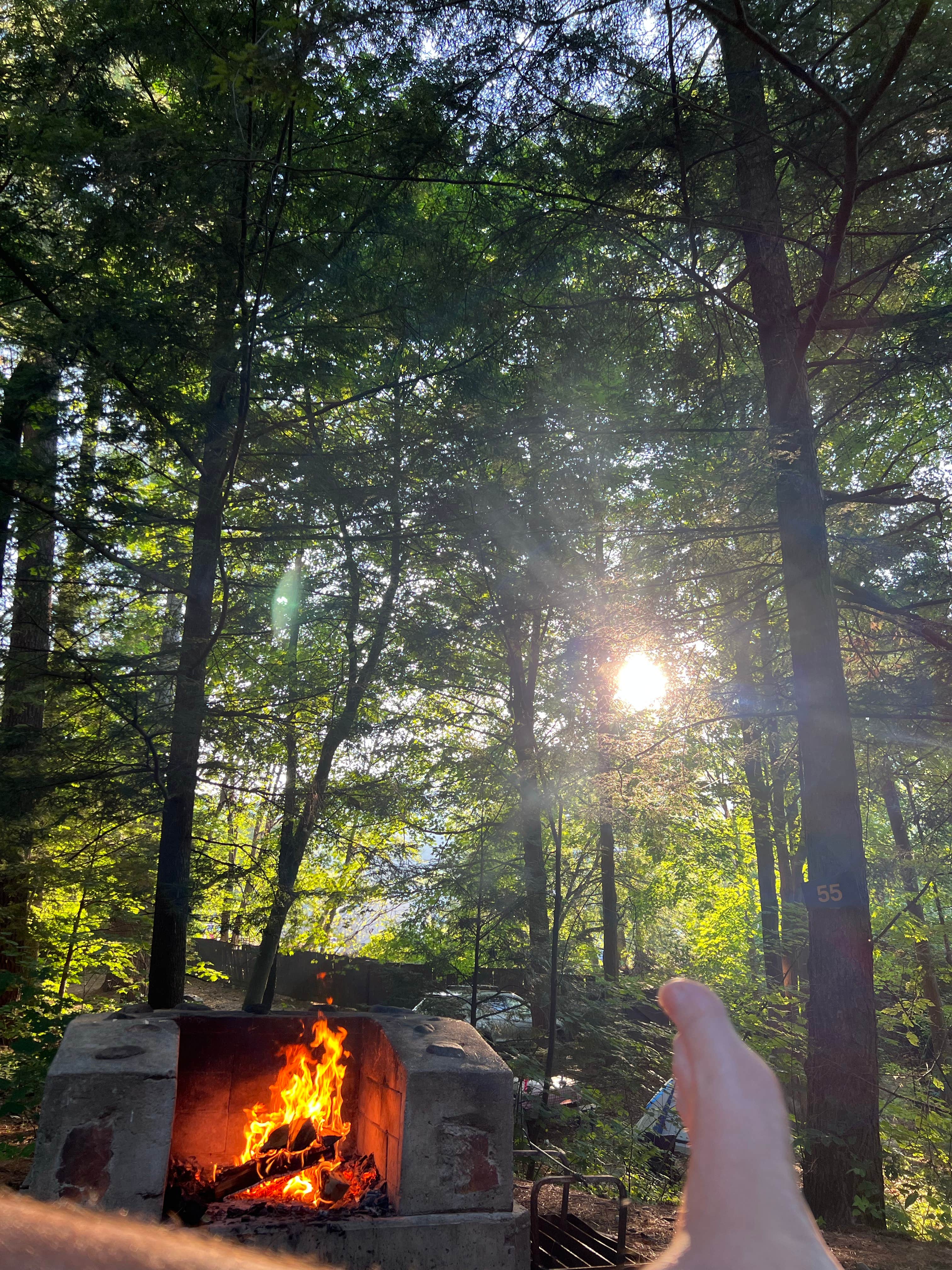 Camper submitted image from Lake George Battleground Campground - 1