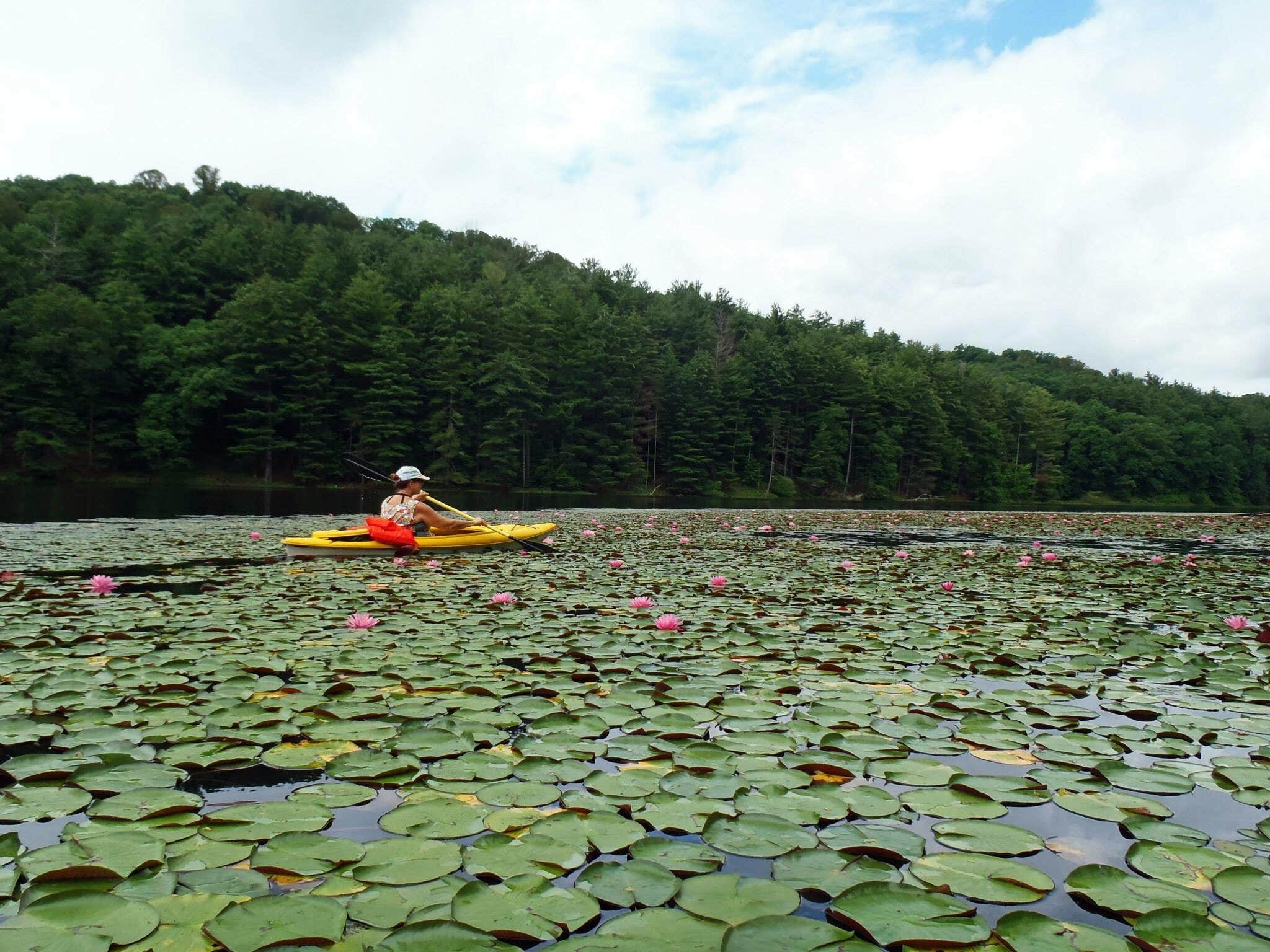 Camper-submitted photo at Lake Hope State Park Campground near Lockbourne, OH