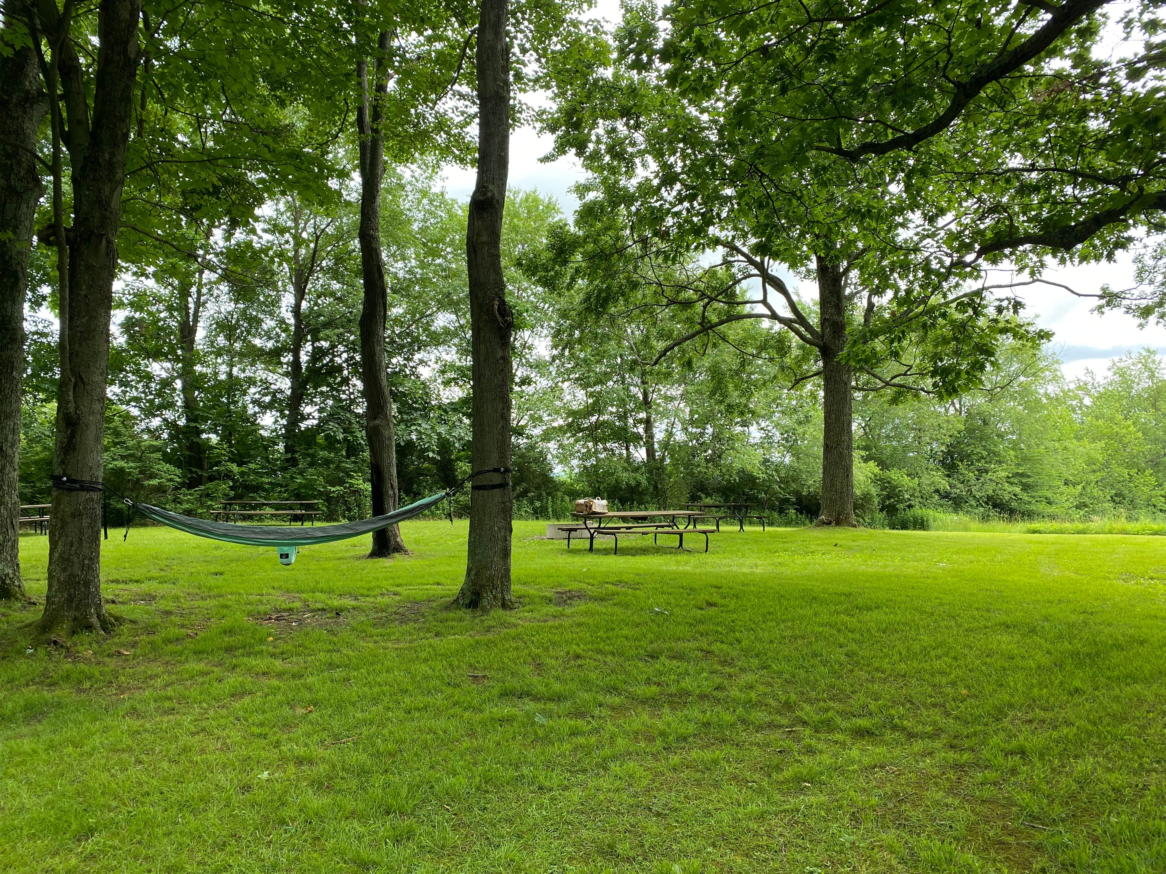 Camper-submitted photo at Hickory Hollow Campground near Grantsville, MD