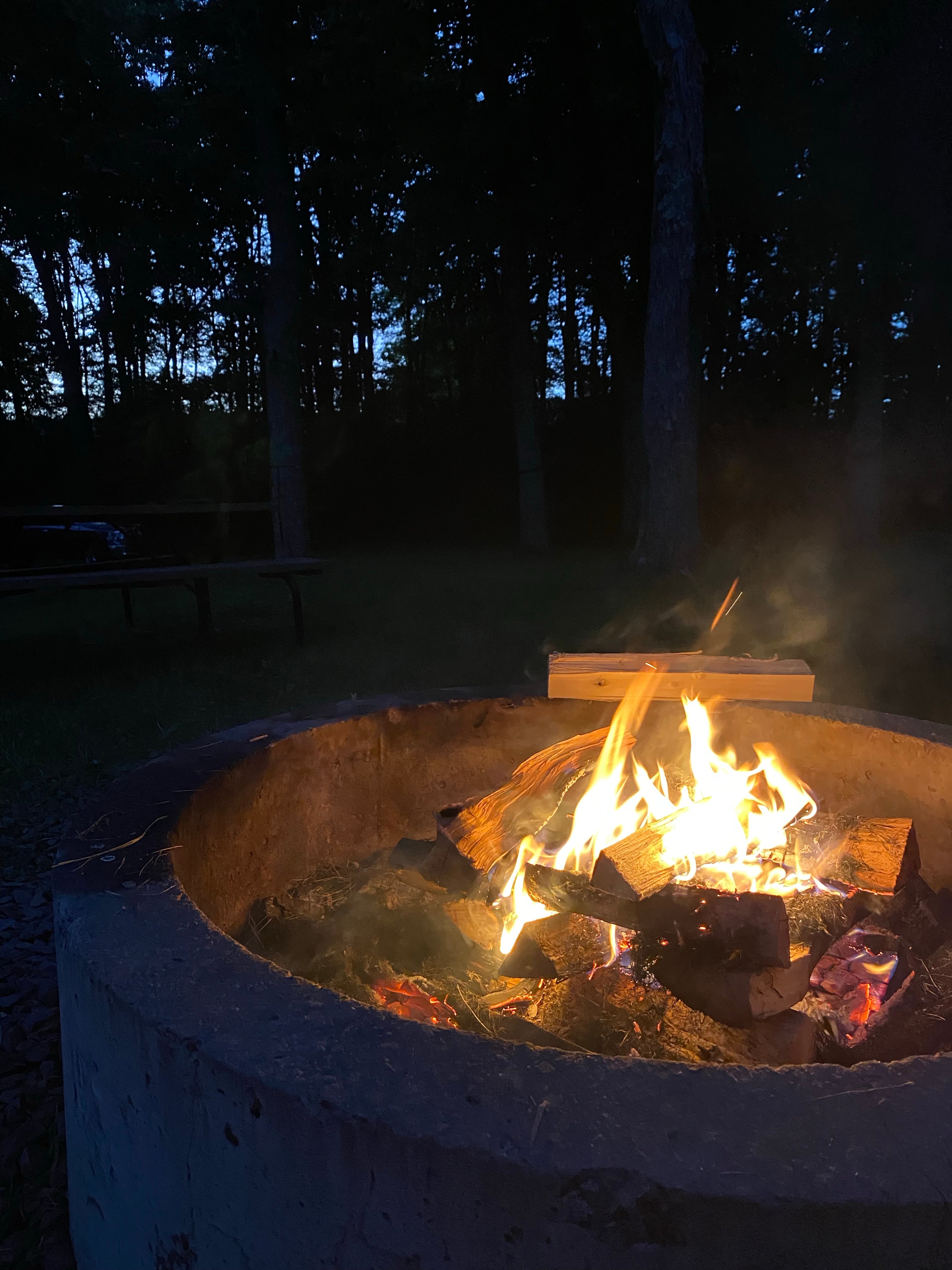 Camper submitted image from Hickory Hollow Campground - 1
