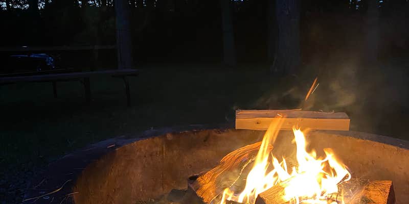 Camper submitted image from Hickory Hollow Campground