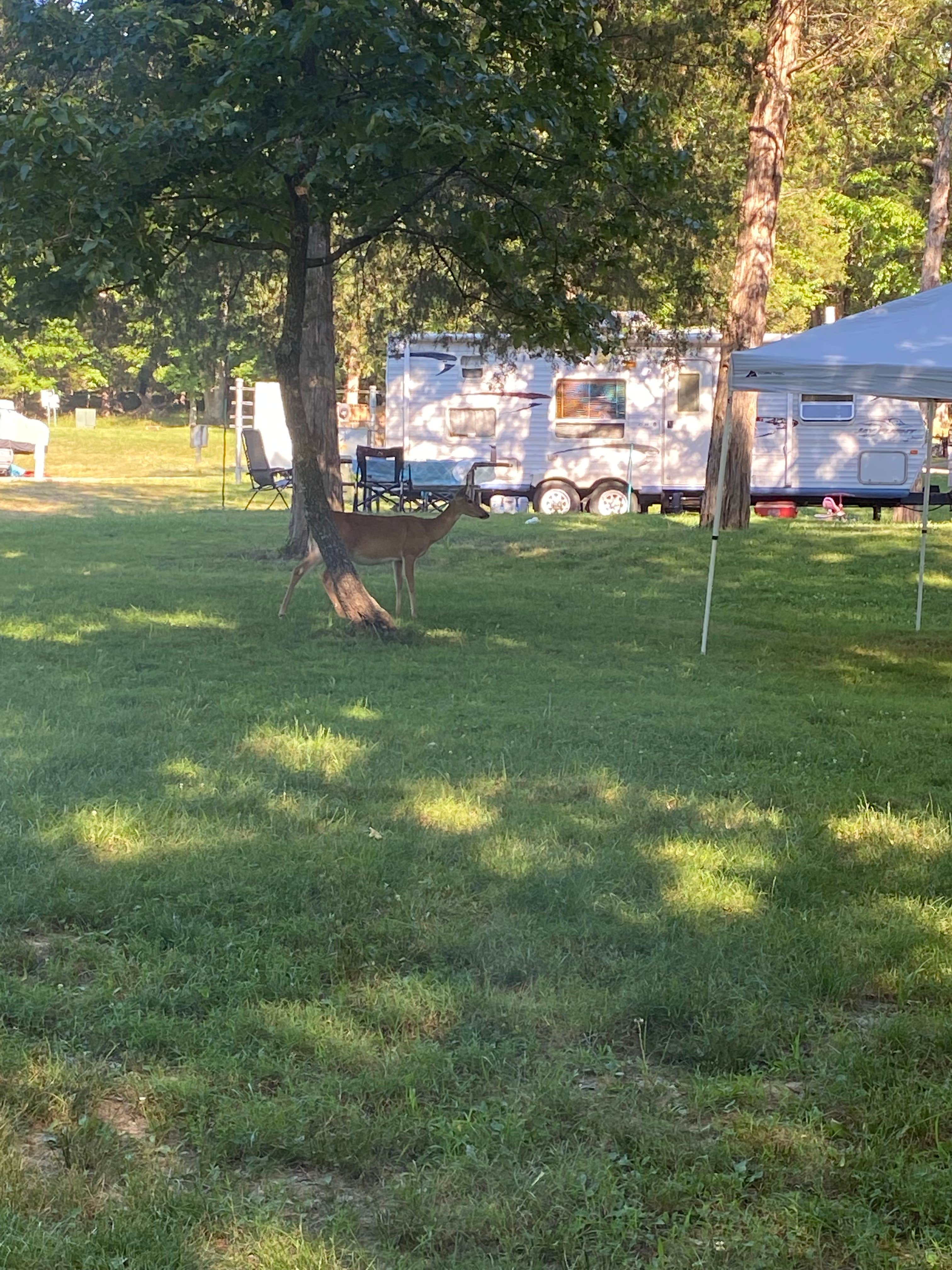 Jessica D.'s photo at Lake of the Ozarks State Park Campground near Vienna, MO