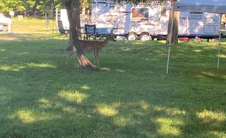 Jessica D.'s photo at Lake of the Ozarks State Park Campground near Vienna, MO