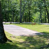 Review photo of Lake of the Ozarks State Park Campground by Jessica D., July 13, 2022