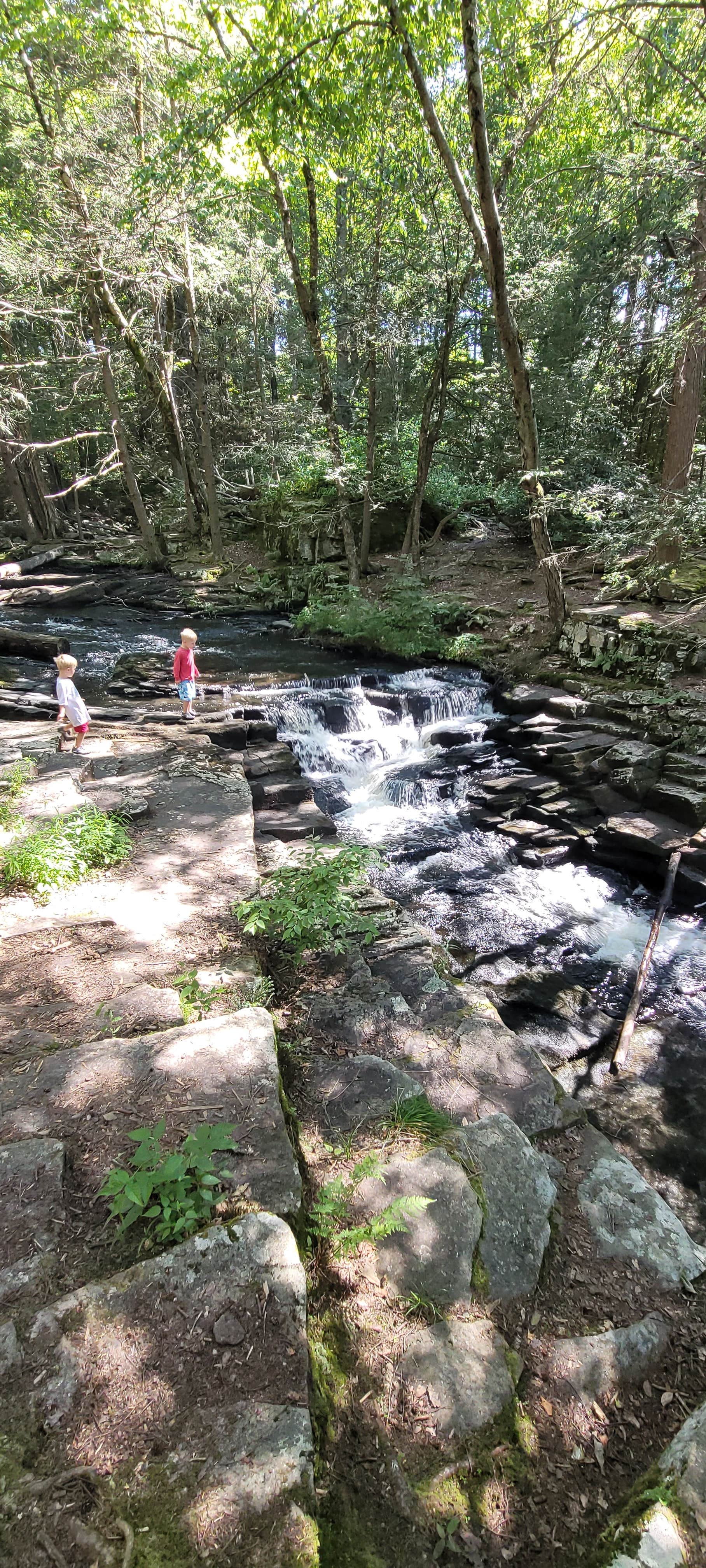 Camper-submitted photo at The Pines Campground — Promised Land State Park near Hawley, PA