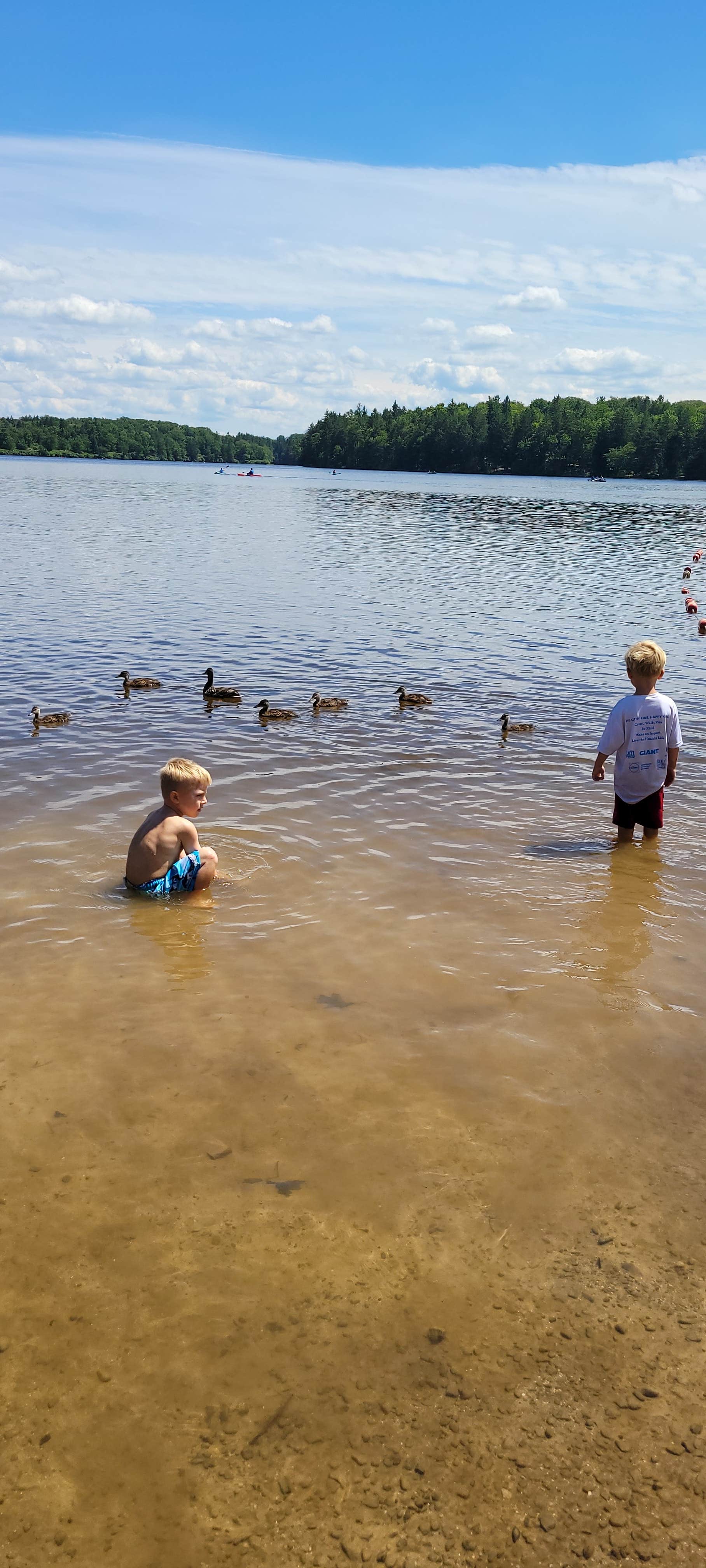 Camper-submitted photo at The Pines Campground — Promised Land State Park near Hawley, PA