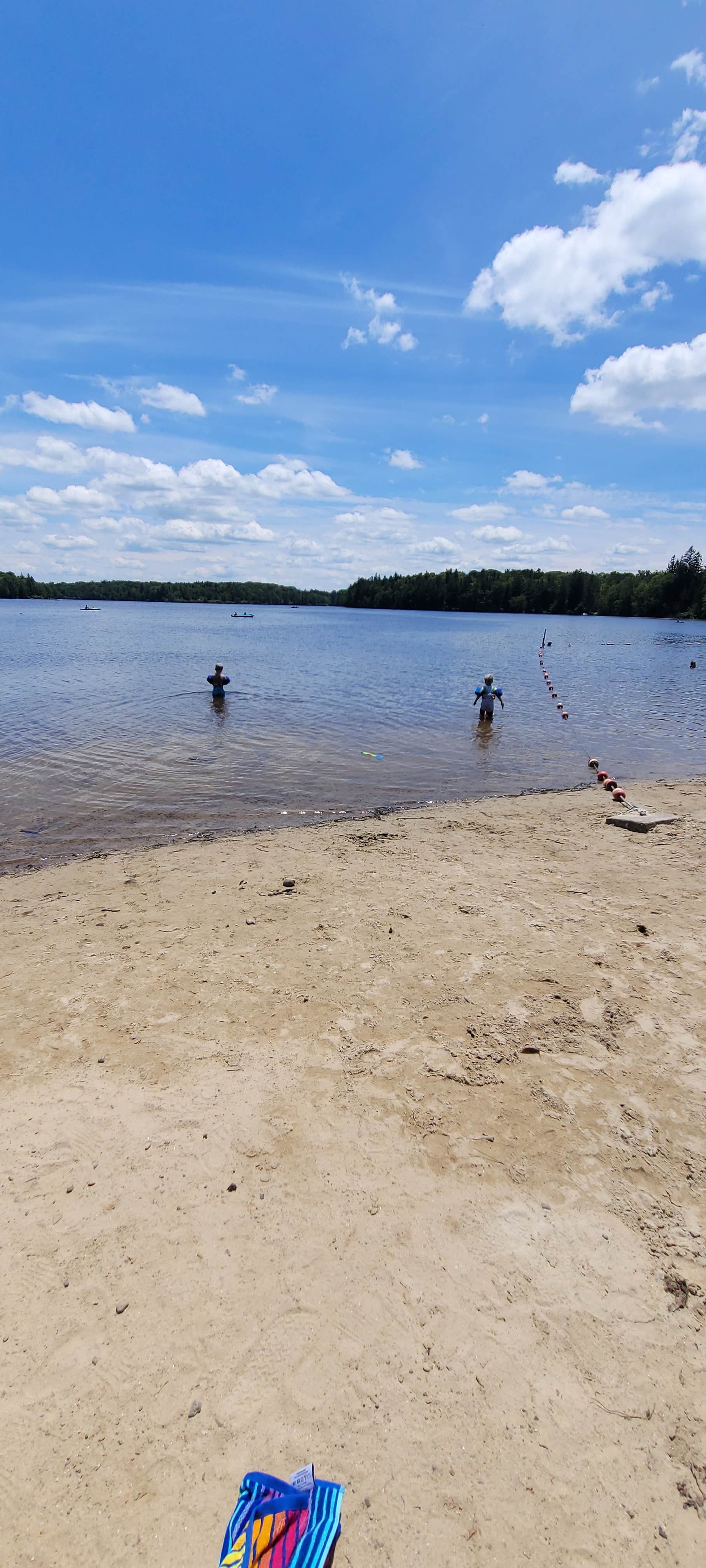 Camper-submitted photo at The Pines Campground — Promised Land State Park near Hawley, PA