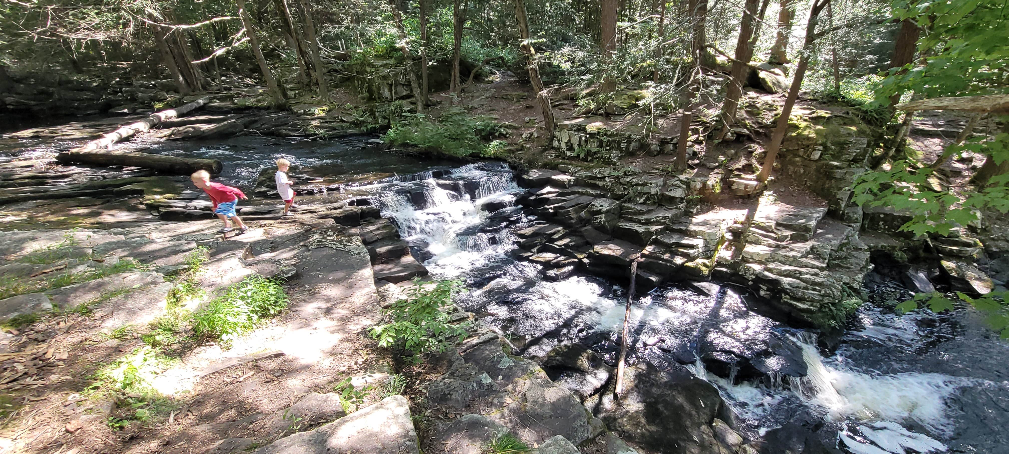 Camper-submitted photo at The Pines Campground — Promised Land State Park near Hawley, PA