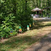 Review photo of Fort Custer Recreation Area by Jess B., July 13, 2022