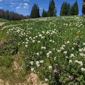 Review photo of Whitney Reservoir by Jen B., July 13, 2022