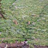 Review photo of Whitney Reservoir by Jen B., July 13, 2022