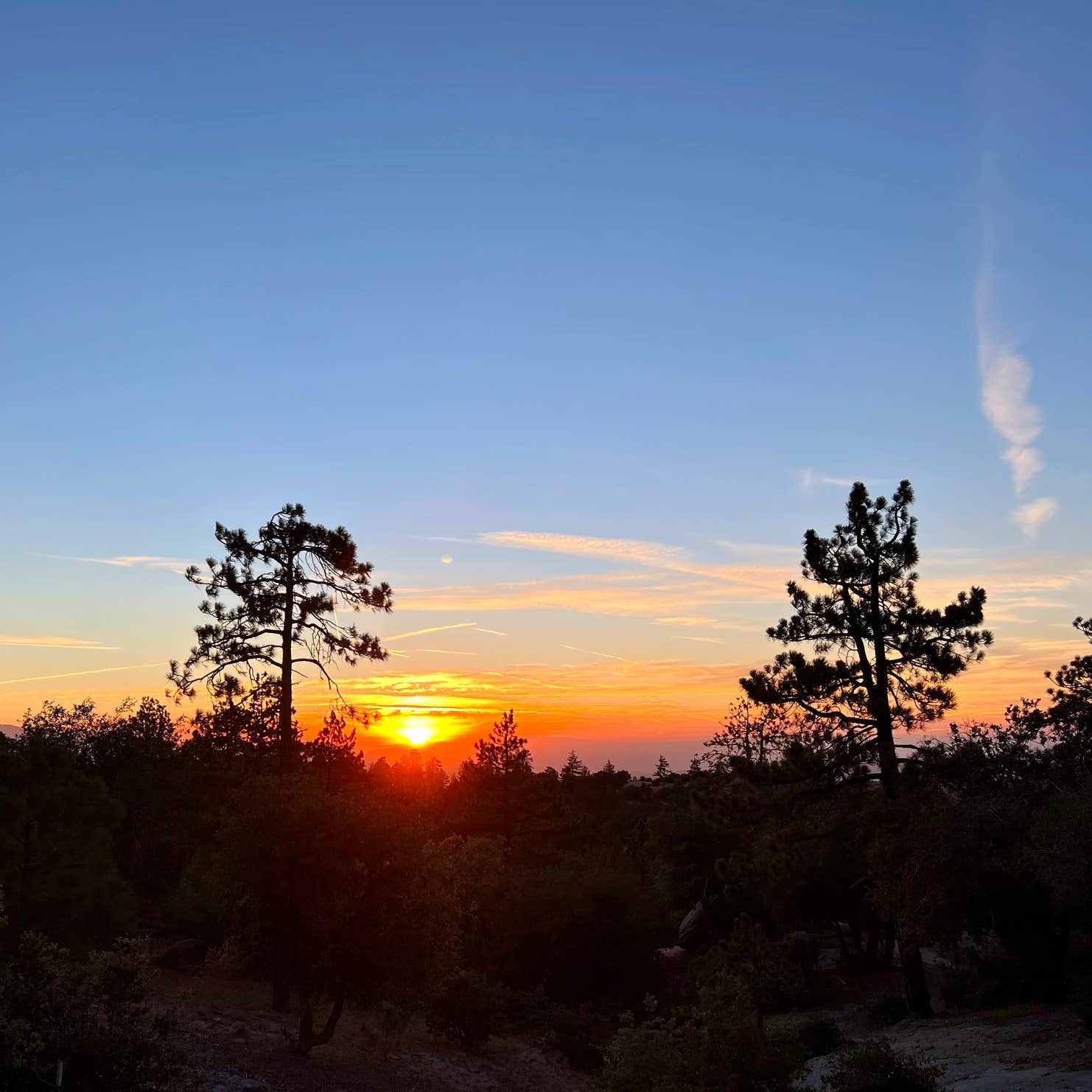 San Bernardino National Forest Crab Flats Campground Camping The Dyrt