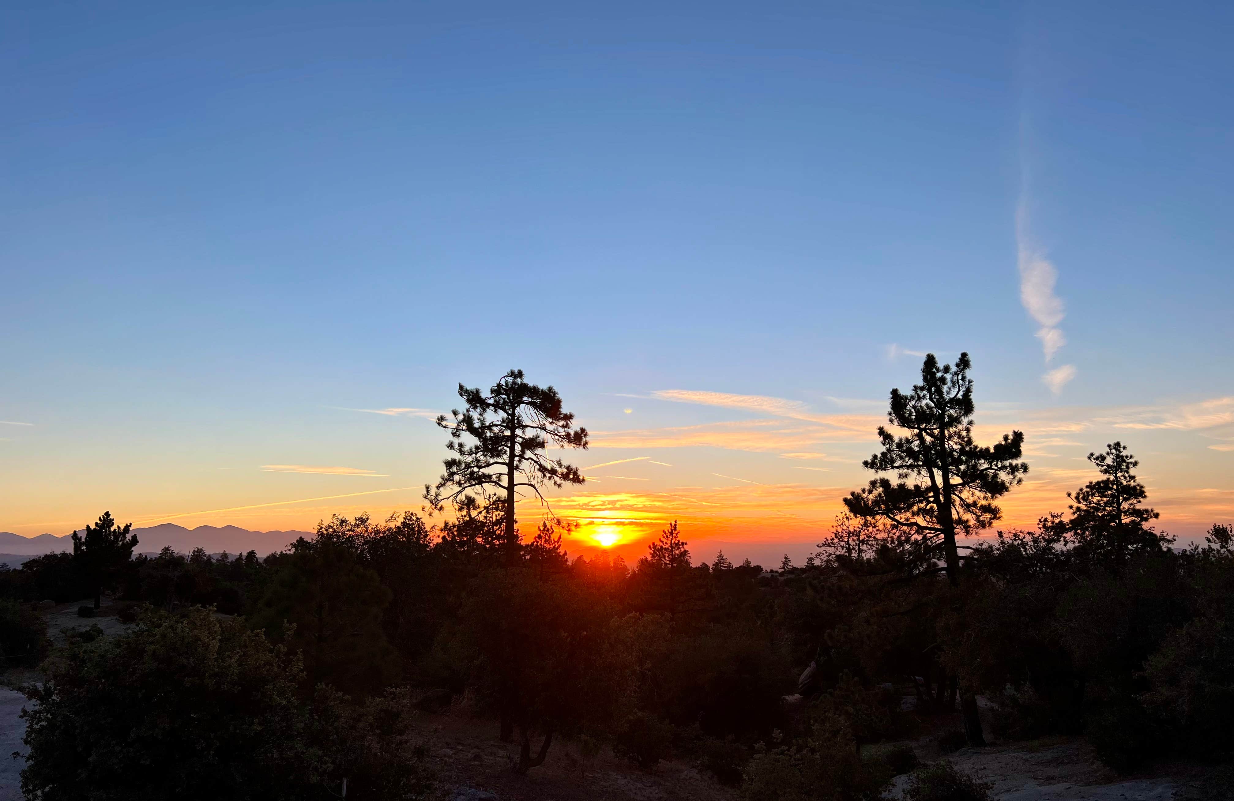 Camper submitted image from San Bernardino National Forest Crab Flats Campground - 2