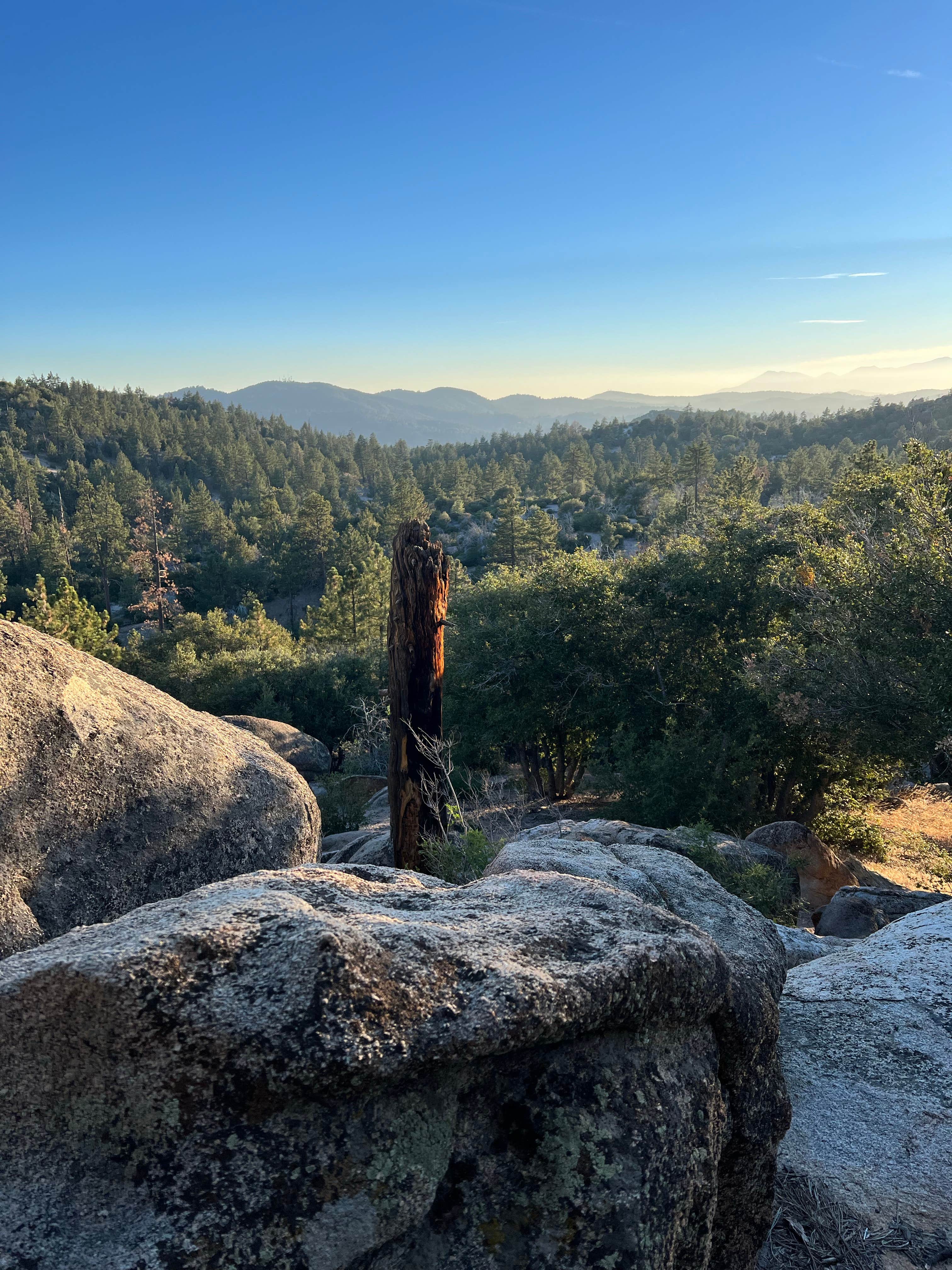 Camper submitted image from San Bernardino National Forest Crab Flats Campground - 3