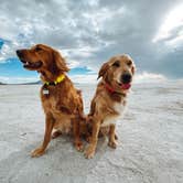 Review photo of Bonneville Salt Flats BLM by Kristina W., July 13, 2022